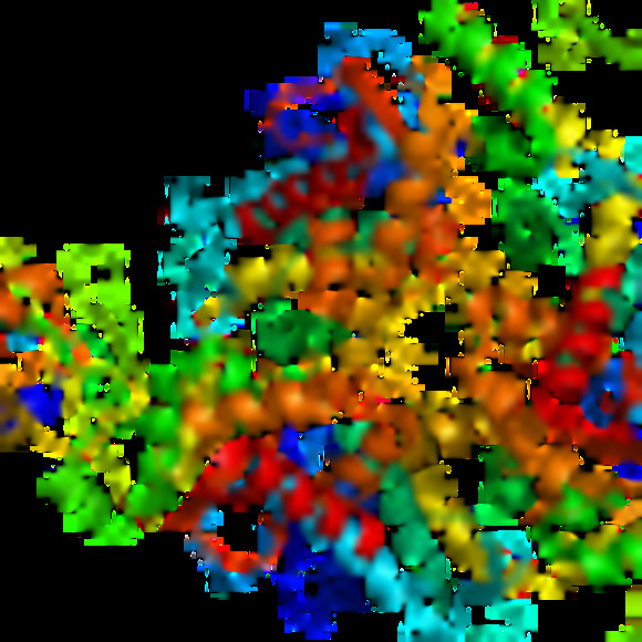 Meet your Posher, Jill - Picture 1 of 1